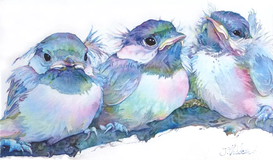 little_chickadees_copy.webp