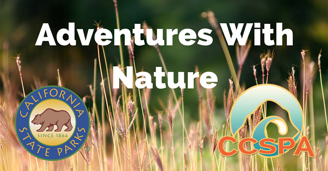 adventures_with_nature_fb_banner.png