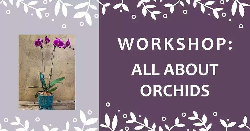 may_workshop.webp