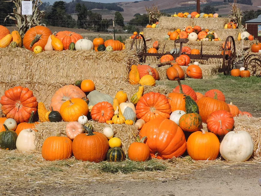 dscn0424.webp