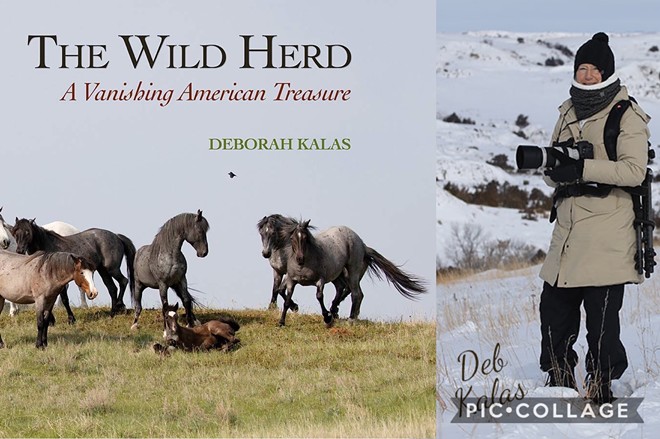 The Wild Herd by Deborah Kalas