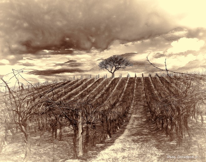 vineyard_and_oak--newest_11_x_14_paint-browns_2-email.jpg