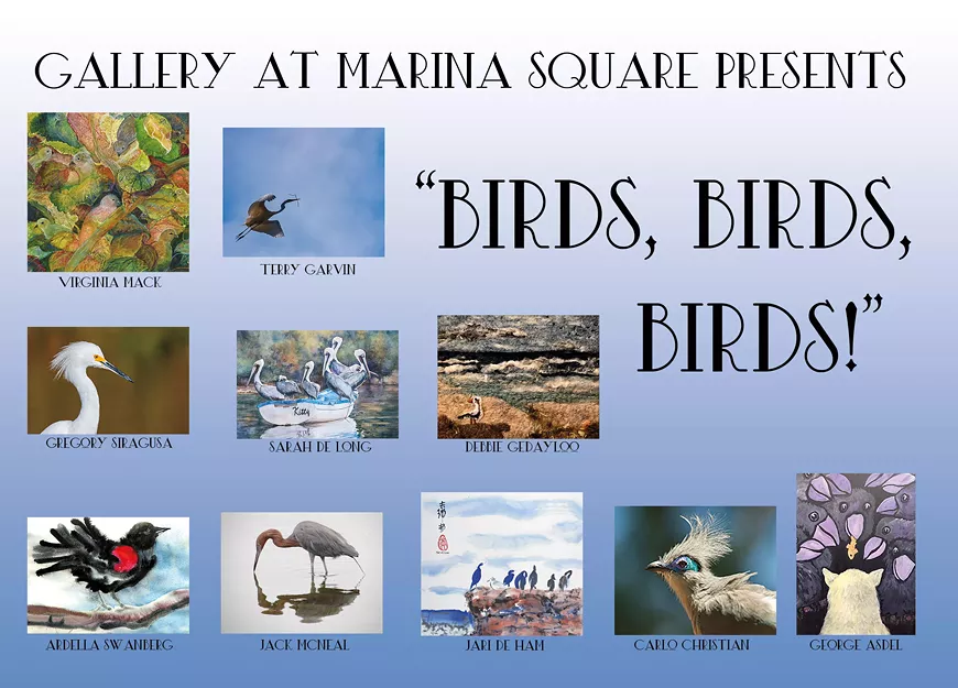 birdsfront01-copy.webp