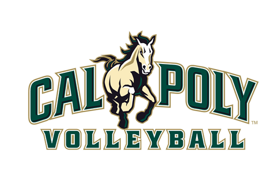 4f2c0242_volleyball_wordmark.png