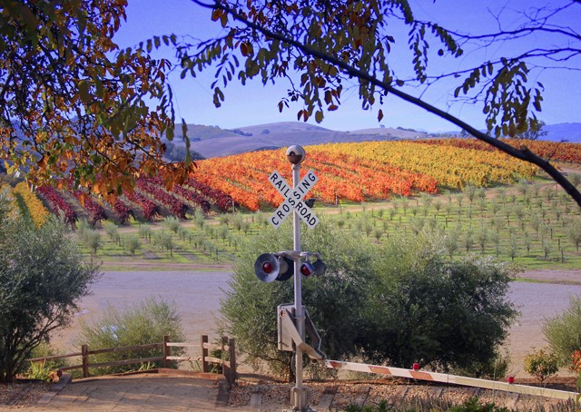 railroad-crossing-signs-with-vineyard-in-the-background-at-pomar-junction.jpg