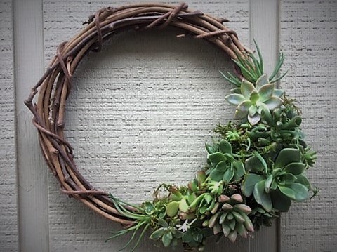 Learn how to make a succulent wreath