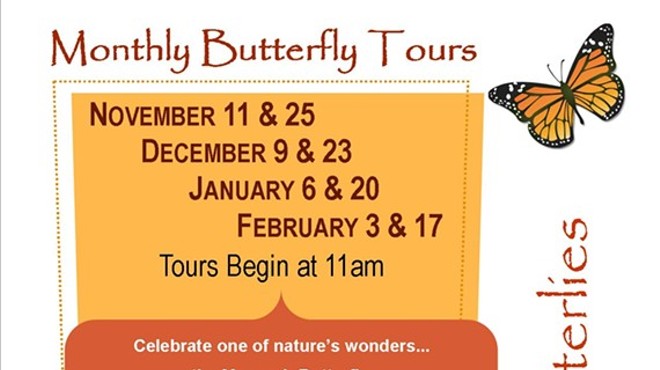 Winter Monarch Butterfly Tours