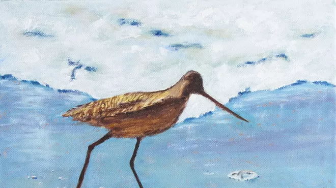 Image: For the Birds 2019
