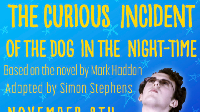 The Curious Case of the Dog in the Night-Time