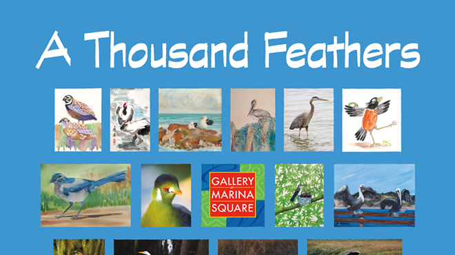Image: A Thousand Feathers