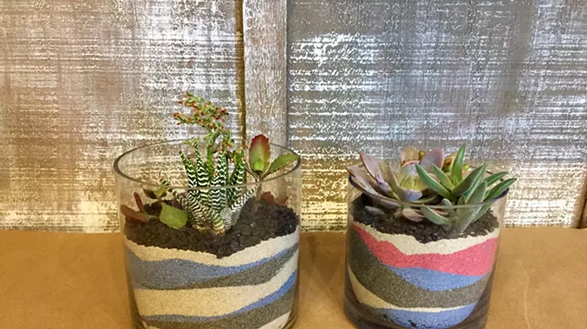 Image: January Workshop: Succulent Planters