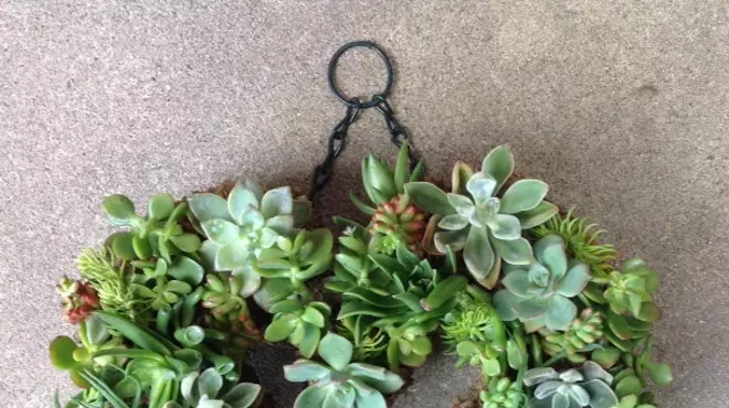 Image: Succulent Heart Wreath