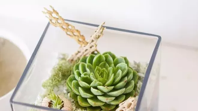Image: Zest It Up: Terrarium Workshop
