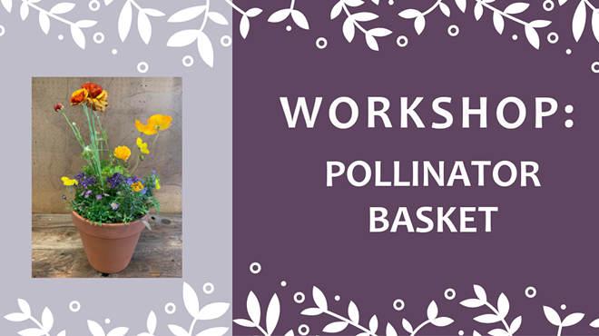 Image: Pollinator Bowl Workshop