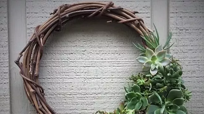 Image: Succulents: Choose Your Project