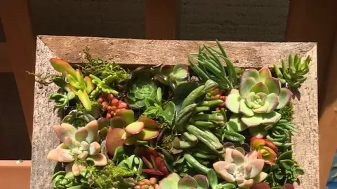 Image: Succulent Workshop