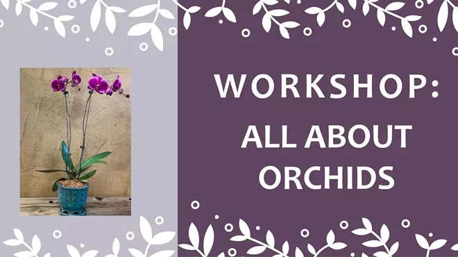 Image: All About Orchids Workshop