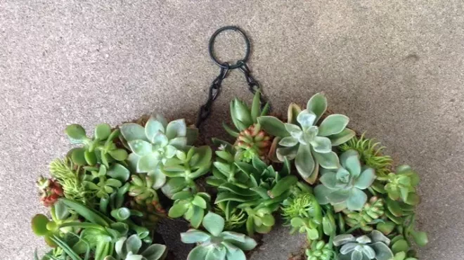 Image: Succulent Workshop