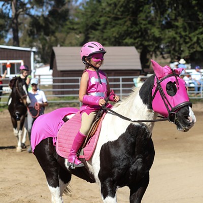 Riders and horses dress up for the annual Halloween horse show and parade