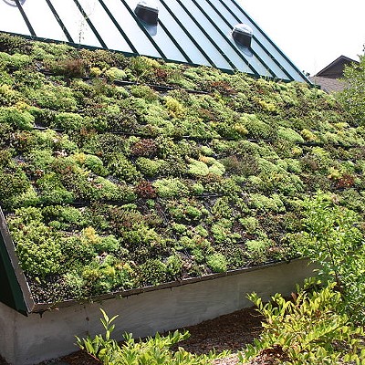 Build the Green Future with a green roof.