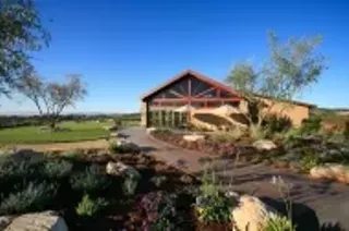 Image: Calcareous Vineyard