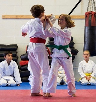 Youth Aikido Classes