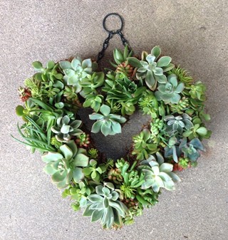 Art And Wine Series: Make A Heart Succulent Wreath