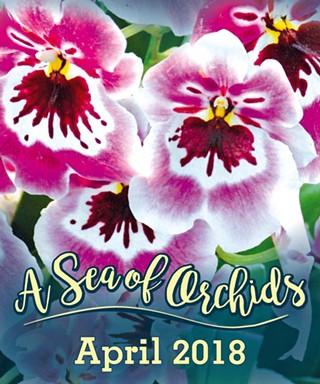 2018 Central Coast Orchid Show