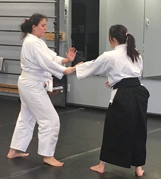 Aikido Beginners Program