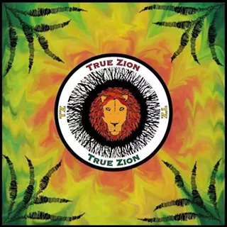 Image: True Zion Acoustic