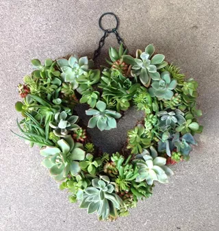 Image: Succulent Heart Wreath