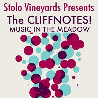 Music In The Meadow with The Cliffnotes