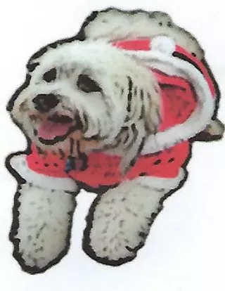 Image: Santa's Doggie Parade