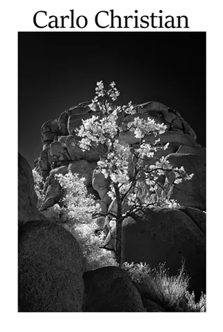 Image: Opening Reception for Fine Art Infrared Photography by Carlo Christian