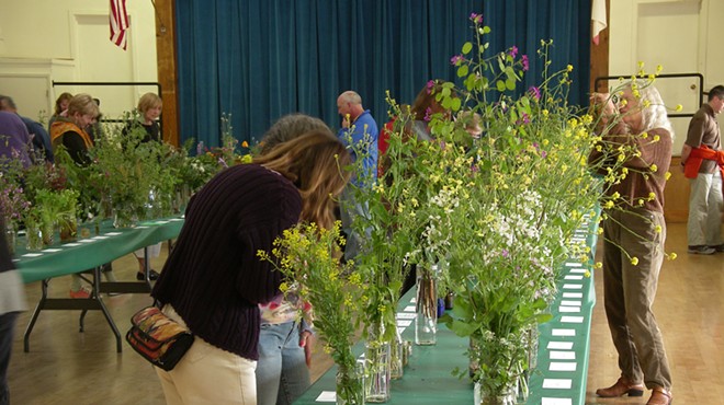 15th annual Cambria Wildflower Show