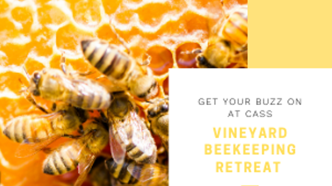 Image: 2021 Vineyard Beekeeping Retreat