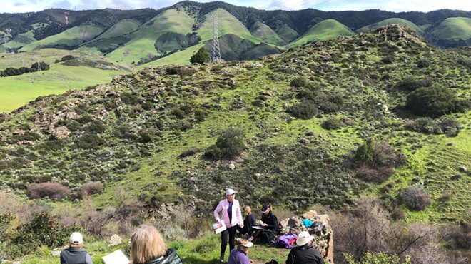 Art in Motion: Hike 1 at Reservoir Canyon