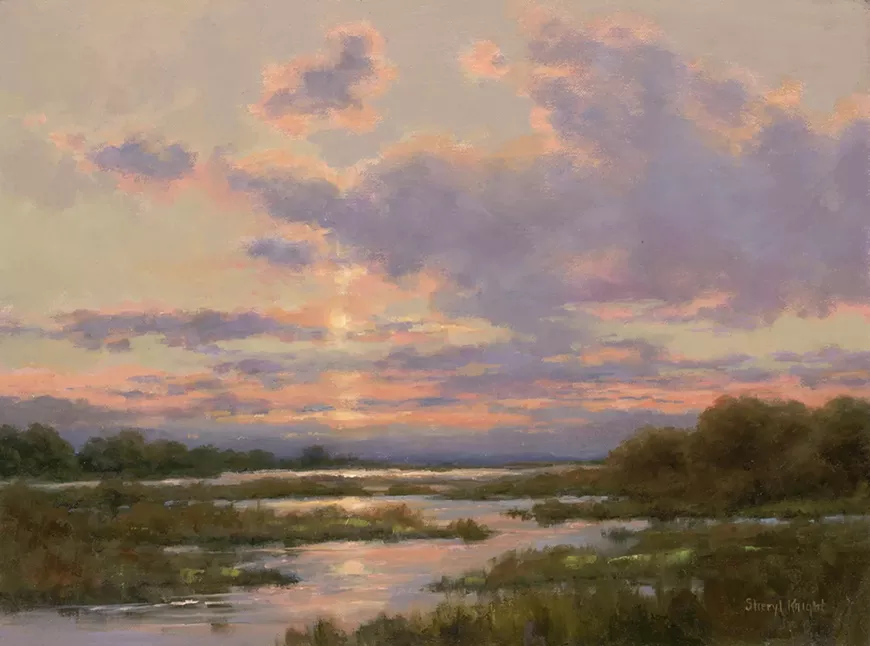 Evening Glory