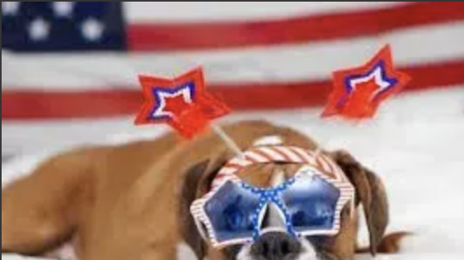 Image: Avila Beach 4th of July Doggie Parade