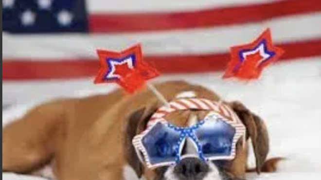 Image: Avila Beach 4th of July Doggie Parade