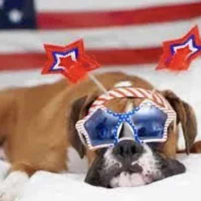 Image: Avila Beach 4th of July Doggie Parade