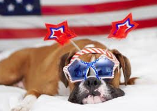 Image: Avila Beach 4th of July Doggie Parade