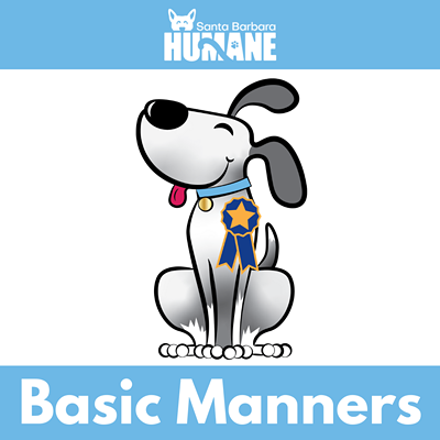 Basic Manners Class