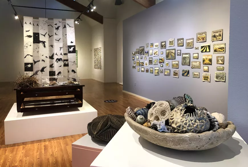 'Bio/Mass: Contemporary Meditations on Nature,' Installation view.