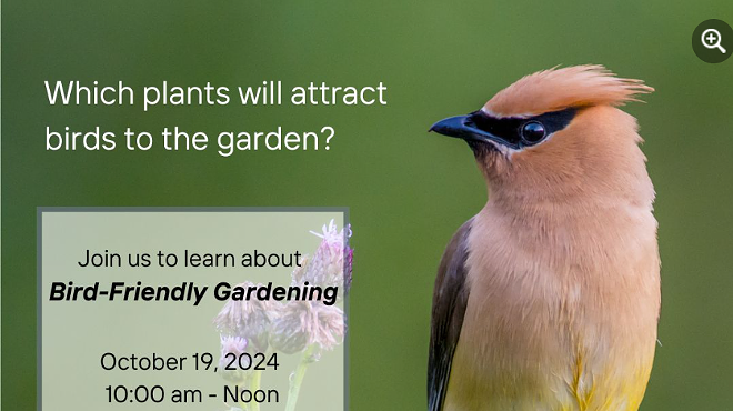 Image: Bird Friendly Gardening