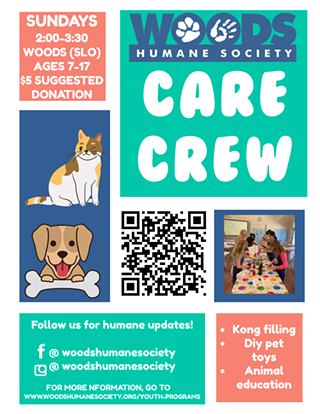 Image: Care Crew