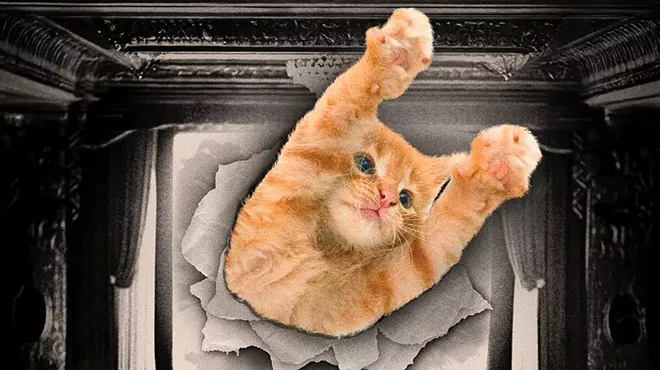 Image: Cat Video Fest 2025