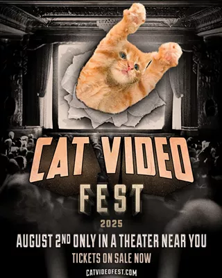Image: Cat Video Fest 2025
