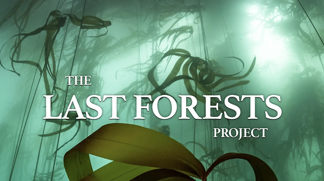 Image: CCSPA Movie Night: The Last Forests Project
