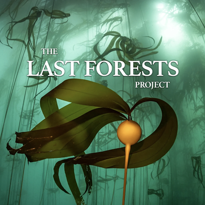 Image: CCSPA Movie Night: The Last Forests Project